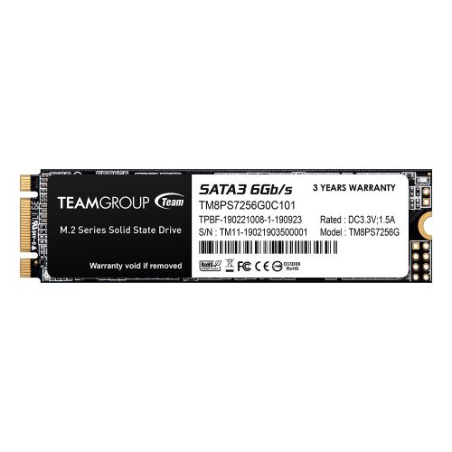 256GB Team MS30 M.2 2280 NV2 SATA3 SSD Drive, New 
